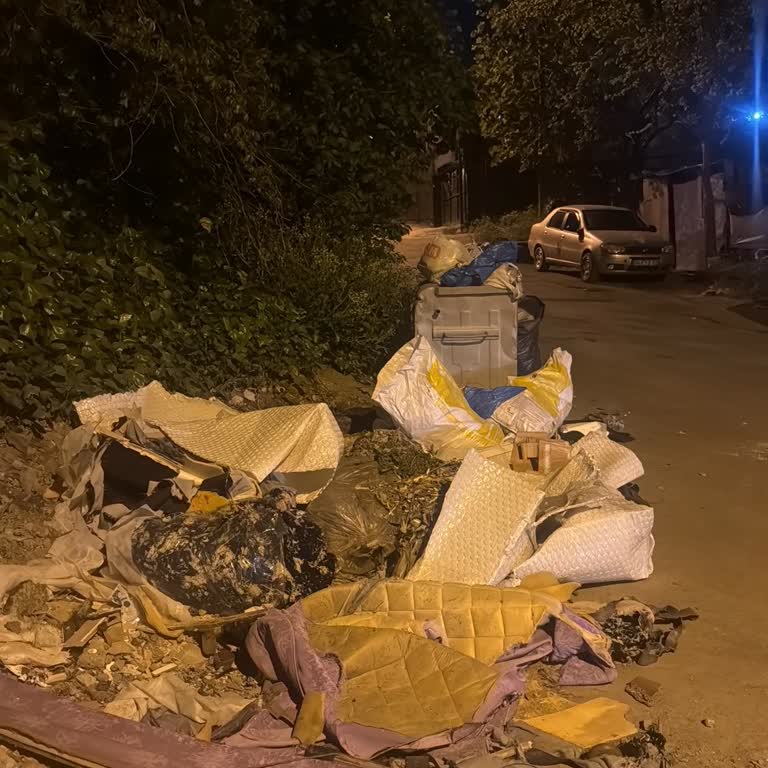 Evimizin Önündeki Çöp Konteynerinin Kaldırılmasını Talep Ediyoruz
