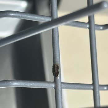 Arçelik Ürünlerinde Kısa Sürede Yaşanan Sorunlar Ve Yetersiz Servis Deneyimi