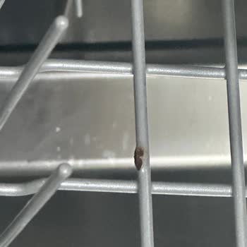 Arçelik Ürünlerinde Kısa Sürede Yaşanan Sorunlar Ve Yetersiz Servis Deneyimi