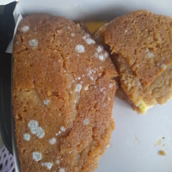 Aldığım Ekmek Kadayıfı Ertesi Gün Küflendi