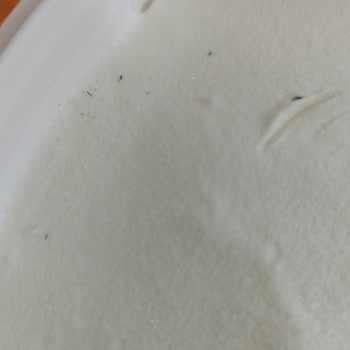 Algida Dövme Dondurmada Siyah Leke Şoku Ve Hayal Kırıklığı
