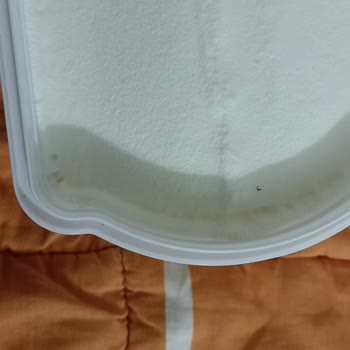 Algida Dövme Dondurmada Siyah Leke Şoku Ve Hayal Kırıklığı