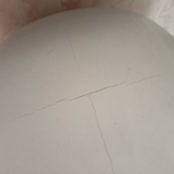 Windsor Termosifonum Çatladı Servis İlgisiz Kaldı