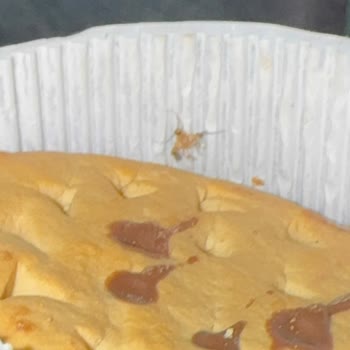 A101'den Alınan Proteinli Bisküviden Sinek Çıkması Nedeniyle Güven Kaybı Ve Mağduriyet