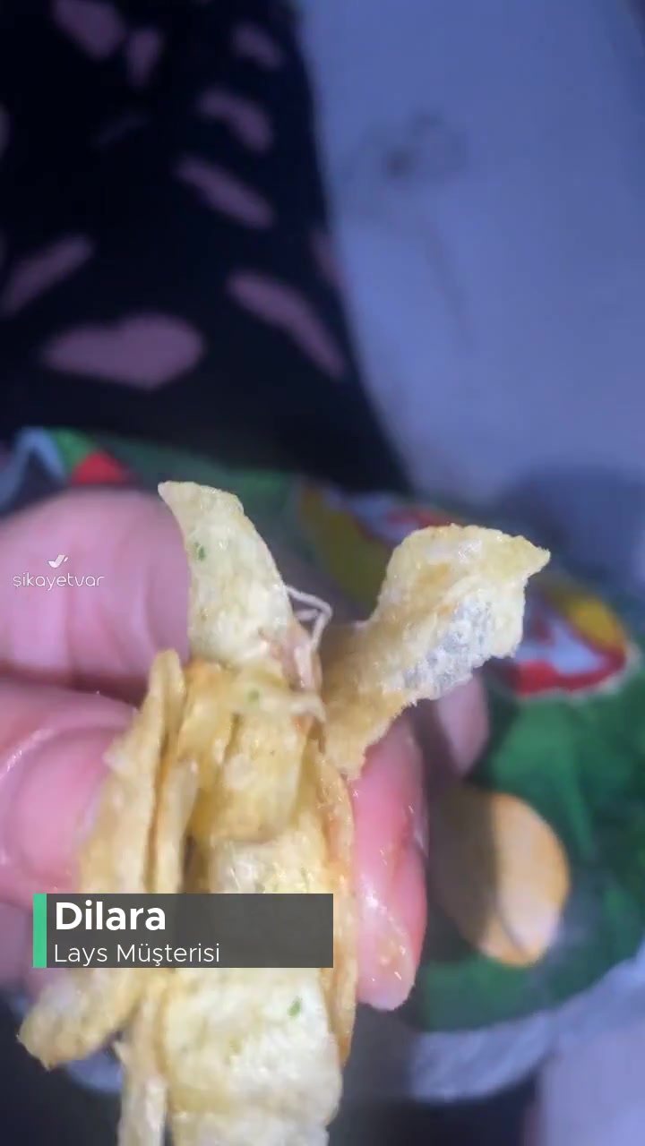Lays Cipsten Böcek Çıktı videonun kapak resmi