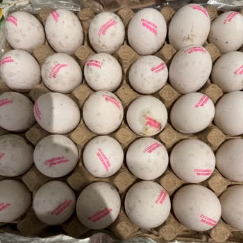 Küflü Yumurta Ve İlgisiz Mağaza Yetkilisi Müşteri Mağduriyetine Yol Açıyor