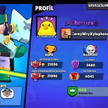 Brawl Stars Hesabım Aniden Çıkış Yaptı, Geri Erişemiyorum