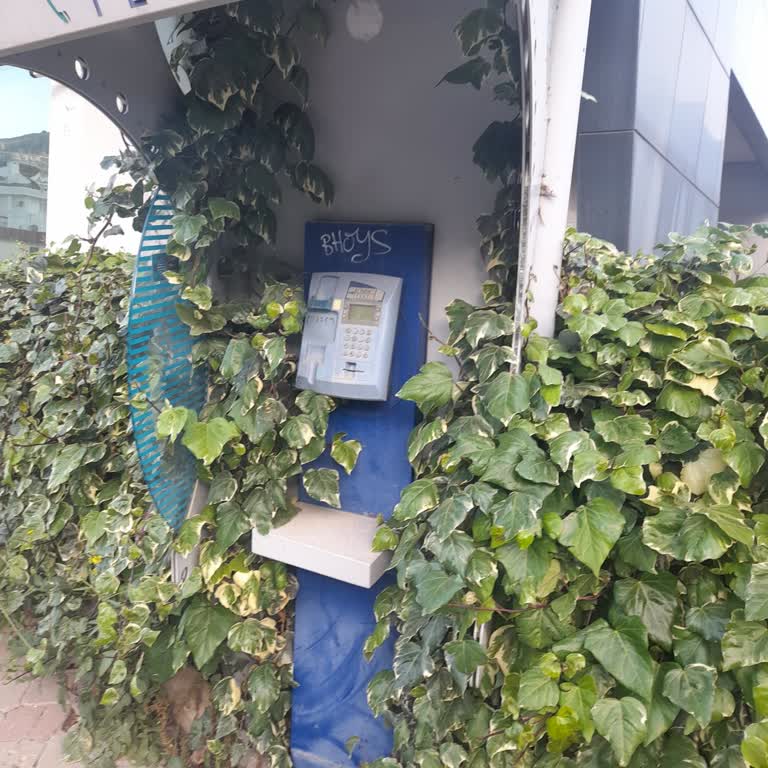 Turizm Bölgesinde Bakımsız Ankesörlü Kulübe Sorunu