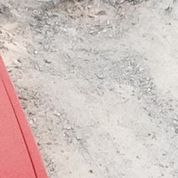 208. Sokak'ta Çöken Yol Ve İhmal Edilen Temizlik Sorunu