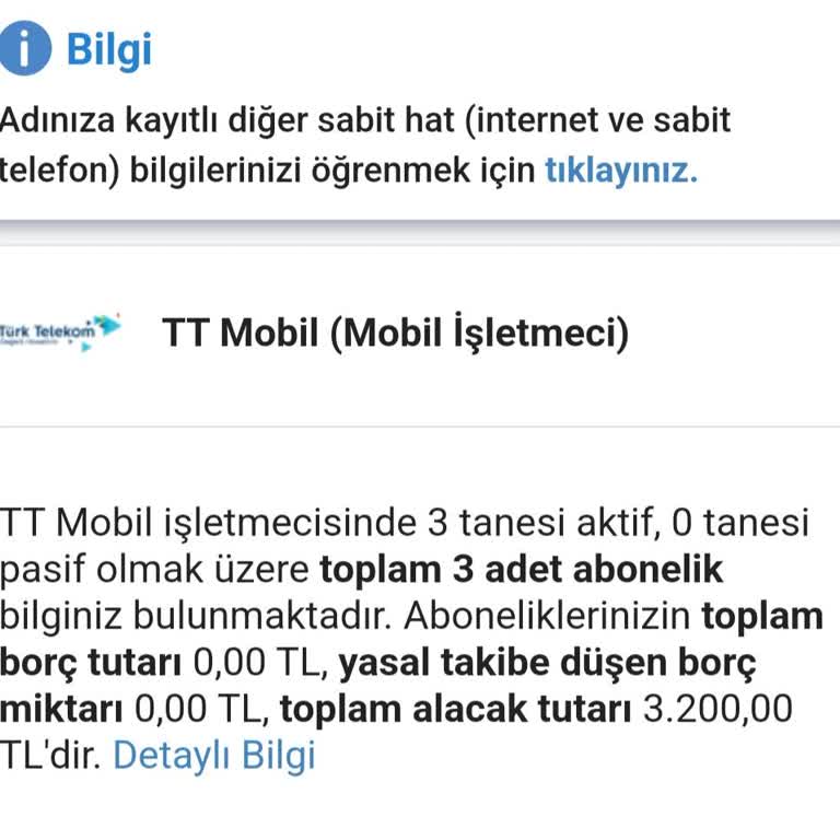 Ödediğim Borç E-Devlet'te Hala Görünüyor Hatalı Borç Kaydı Mağduriyeti