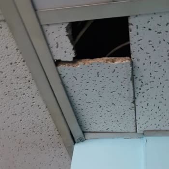 Haksız Suçlama Ve Kamera Kayıtlarının Yok Edilmesiyle Mağduriyet