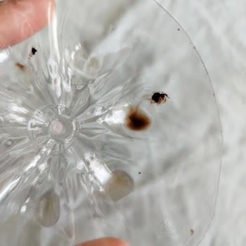 Soğuk Çay Şişesinde Siyah Lekeler Nedeniyle Sağlık Endişesi