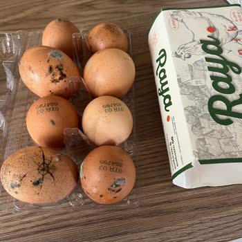 Küflü Yumurta Teslimatı İle Mağduriyet Yaşadık
