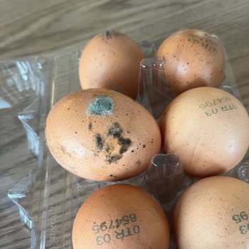 Küflü Yumurta Teslimatı İle Mağduriyet Yaşadık