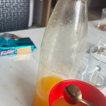 Taze Sıkılmış Portakal Suyunda Sinek Çıkması Nedeniyle Hayal Kırıklığı