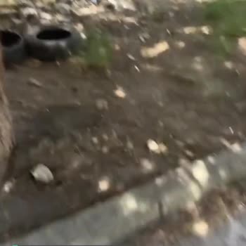 Ataşehir Belediyesi Temizlik, Çevre Düzeni, Park Sorunu