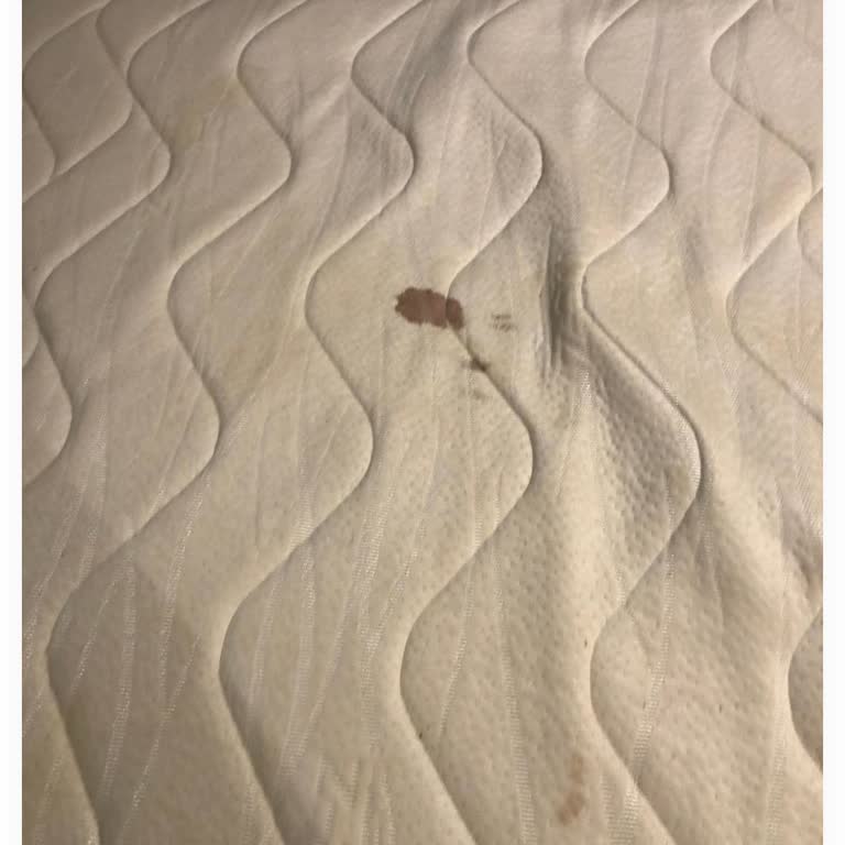 Hotels.com and Stargate Hotel & SPA Refused Refund After Terrible Stay and Misleading Info