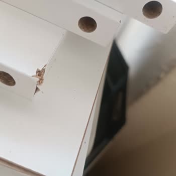 Eve Teslim Edilmeyen Kargo Ve Sorumsuz Davranış