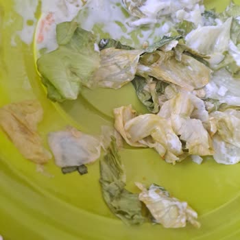 Popeyes'ten Gelen Salatada Taze Olmayan Iceberg Şikayeti