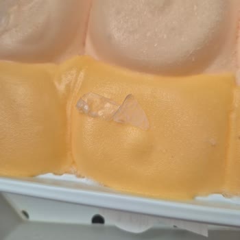 Dondurmadan Çıkan Plastik Parçalar Hayal Kırıklığı Yarattı