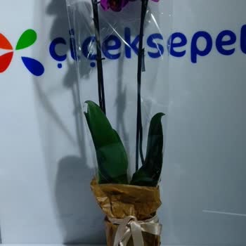 Sipariş Edilen Çiçekle Teslim Edilen Ürün Farklı Ve Paramı İstiyorum