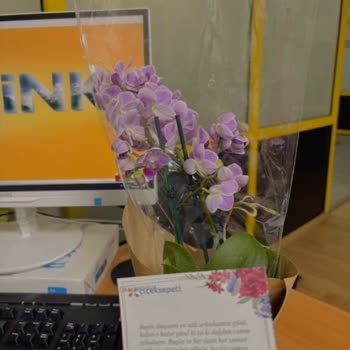 Sipariş Edilen Çiçekle Teslim Edilen Ürün Farklı Ve Paramı İstiyorum