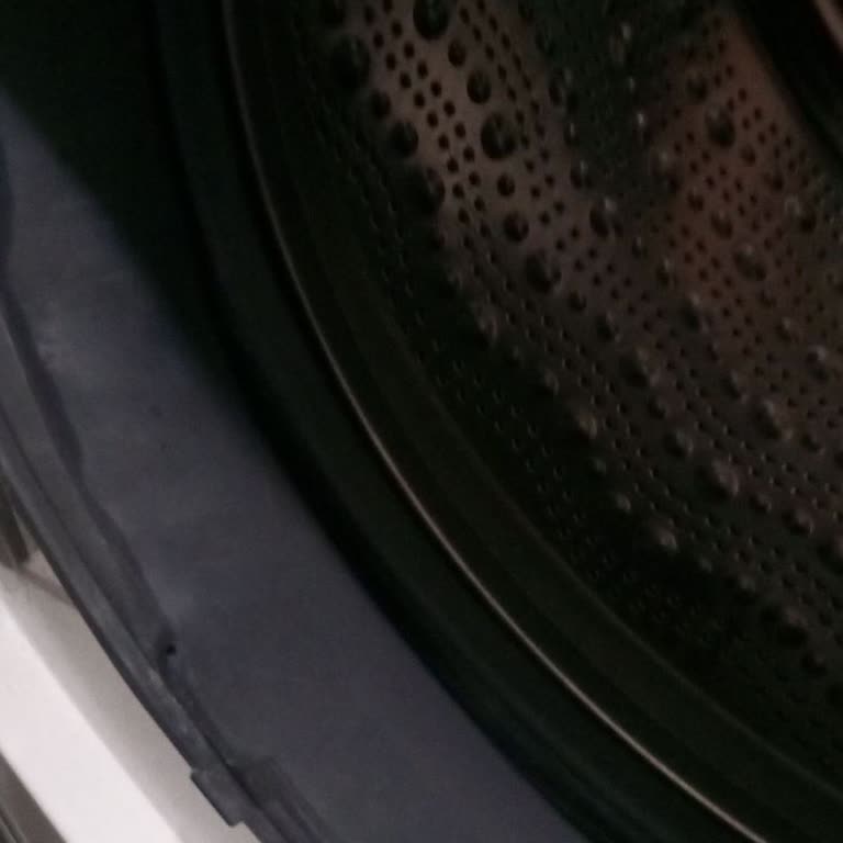 Profilo Çamaşır Makinesi Lastiği Kısa Sürede Yırtıldı, Garanti Kapsamı Dışında Kaldı