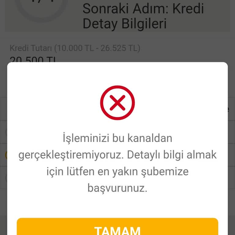 Tanımlı Sky Limitime Rağmen Kredi Kullanamıyorum