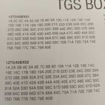 Yanlış Cevap Anahtarı Ve Boşa Harcanan Para: Dilko'dan Hayal Kırıklığı