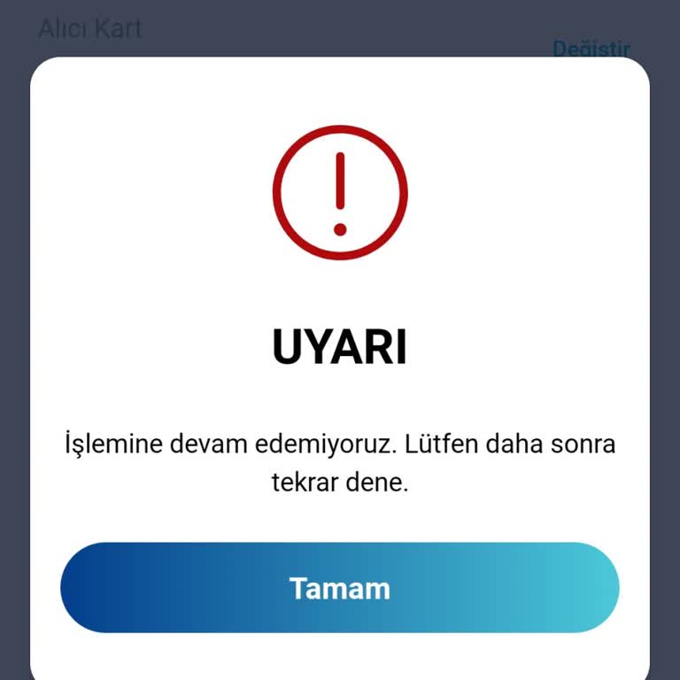 Kaybolan Kartımın Bakiyesini Aktaramıyorum, Yardım Bekliyorum