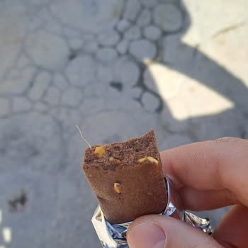 Fellas Foods Meyve Barında Plastik Madde Çıkması