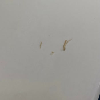 Lays Cips Paketinden Tüylü Yabancı Madde Çıktı, Hijyen Konusunda Endişeliyim