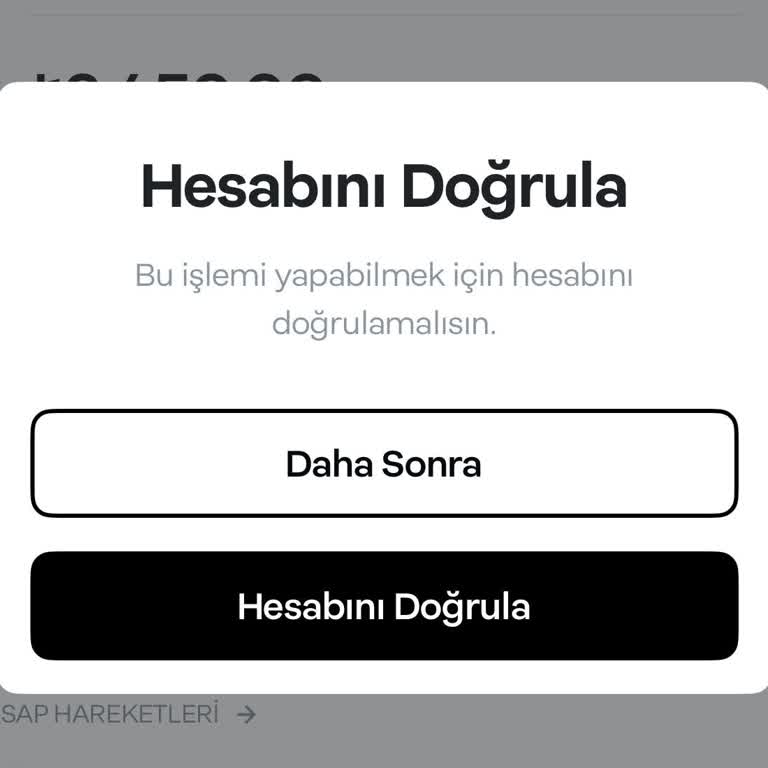 Papara Hesabım Çalındı Paramı Kullanamıyor Ve Destek Alamıyorum