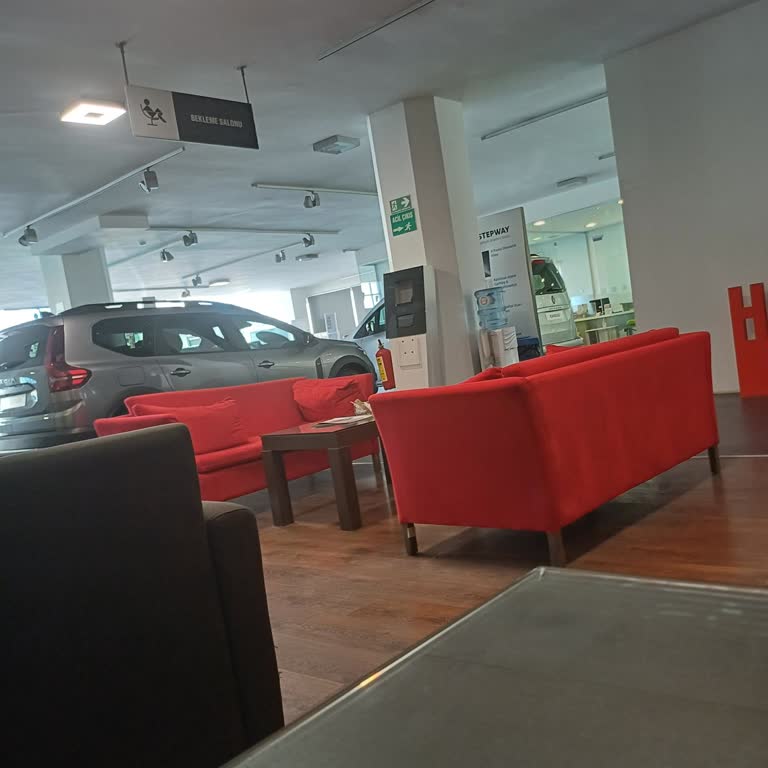 Sıfır Kilometre Renault Clio'da Şarj Dinamosu Arızası Ve Yetersiz Müşteri Desteği