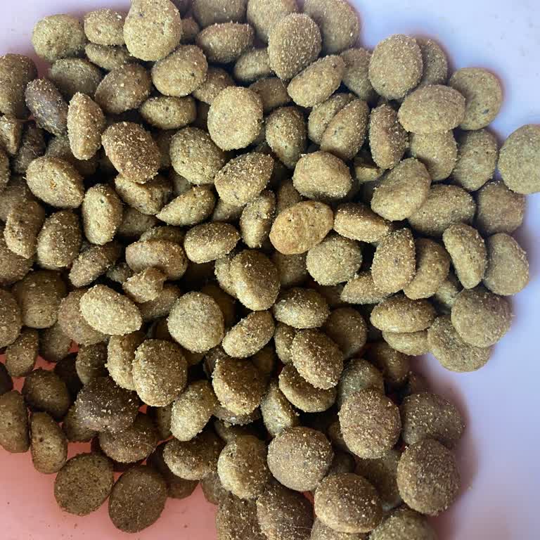 Virbac 12 Kg Kedi Mamasında Kalite Sorunu Ve Kedilerde İsteksizlik