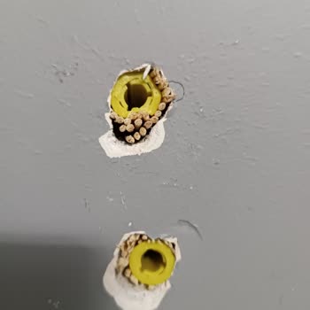 LG Televizyon Montajında Servis Kaynaklı Güven Sorunu Ve Montaj Hataları!