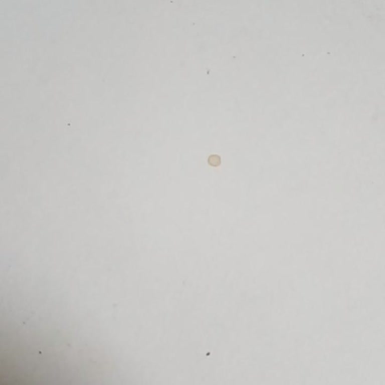 Kimlik Doğrulama Sorunu Nedeniyle Hesaplara Erişilemiyor