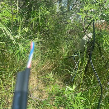 Taahhütlü Hizmette Nakil Sürecinde Yaşanan İletişim Ve Hizmet Eksiklikleri