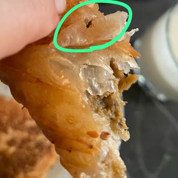 Aldığım Böreğin İçinden Sinek Çıktı Hijyen Konusunda Endişeliyim