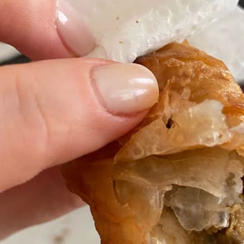 Aldığım Böreğin İçinden Sinek Çıktı Hijyen Konusunda Endişeliyim