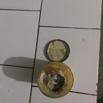 Yeni Alınan Cheddar Makarna Sosunun Küflenmesi Ve Koruyucu Eksikliği Şüphesi