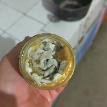 Yeni Alınan Cheddar Makarna Sosunun Küflenmesi Ve Koruyucu Eksikliği Şüphesi