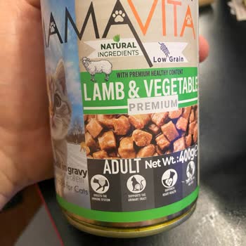 Mcdog Mamavita Mama Çok Kötü!