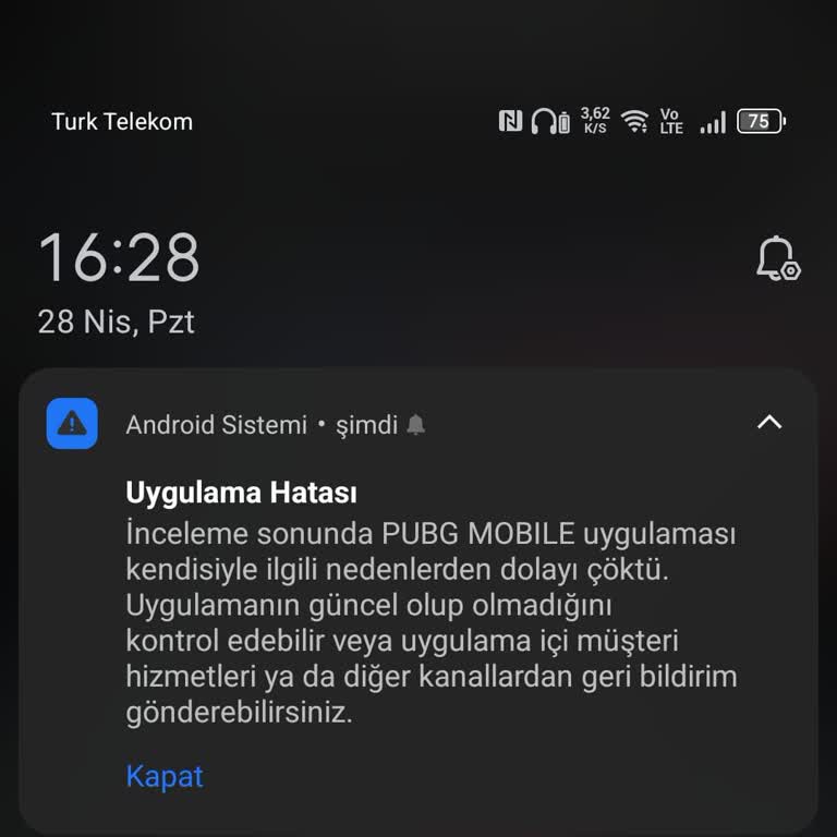 Yeni Alınan Telefonda Yeşil Nokta Ve Oyun Performans Sorunları
