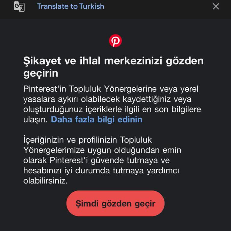 Pinterest Hesabım Kanıtsız Askıya Alındı Ve Destek Alamıyorum