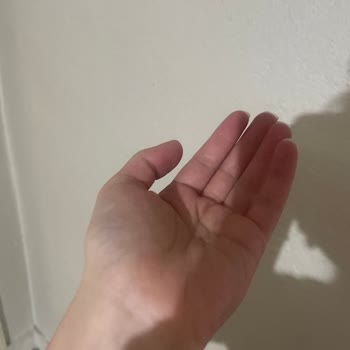 Kargom Başkasına Teslim Edildi, Paramı Ya Da Ürünümü İstiyorum