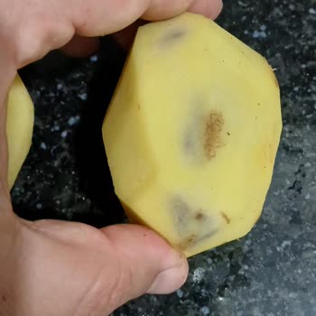 BİM'den Alınan Patateslerin Çürük Ve Filizlenmiş Çıkması Sağlığımızı Tehdit Ediyor