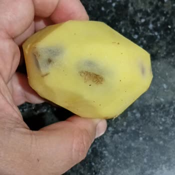 BİM'den Alınan Patateslerin Çürük Ve Filizlenmiş Çıkması Sağlığımızı Tehdit Ediyor