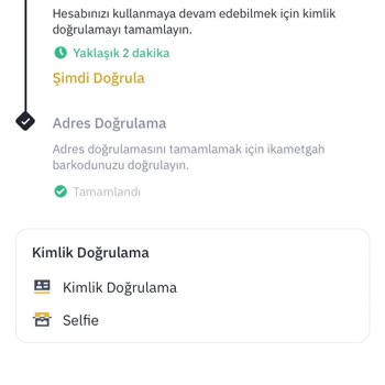 Kimlik Doğrulama Hatası Ve Destek Eksikliği