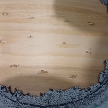 Satın Aldığım Mutfak Masa Takımı 4 Ayda Bozuldu, İade Talebim Reddedildi